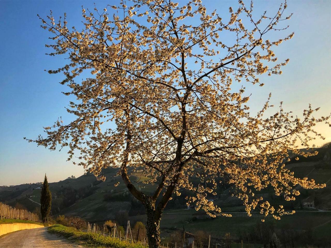 Panoramic Villa Garassino - Country Rooms And Fine Restaurant تريسو المظهر الخارجي الصورة